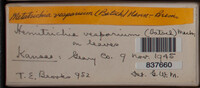 Image Associated With the Occurence